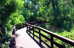 boardwalk