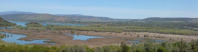 Anderson Marsh